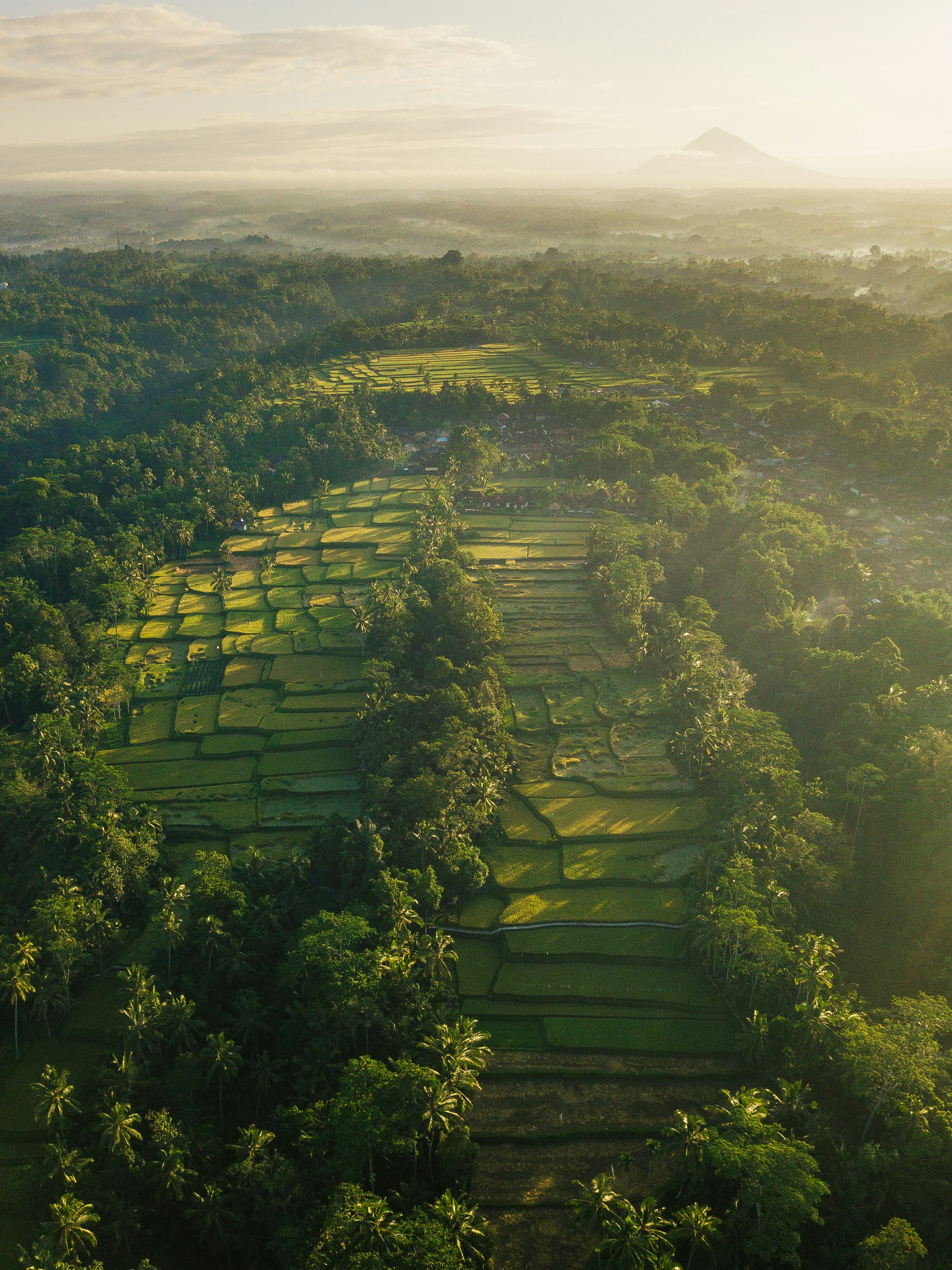 Indonesia
